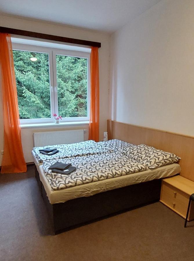 Apartman Novohradky 22 Benesov nad Cernou Exterior foto