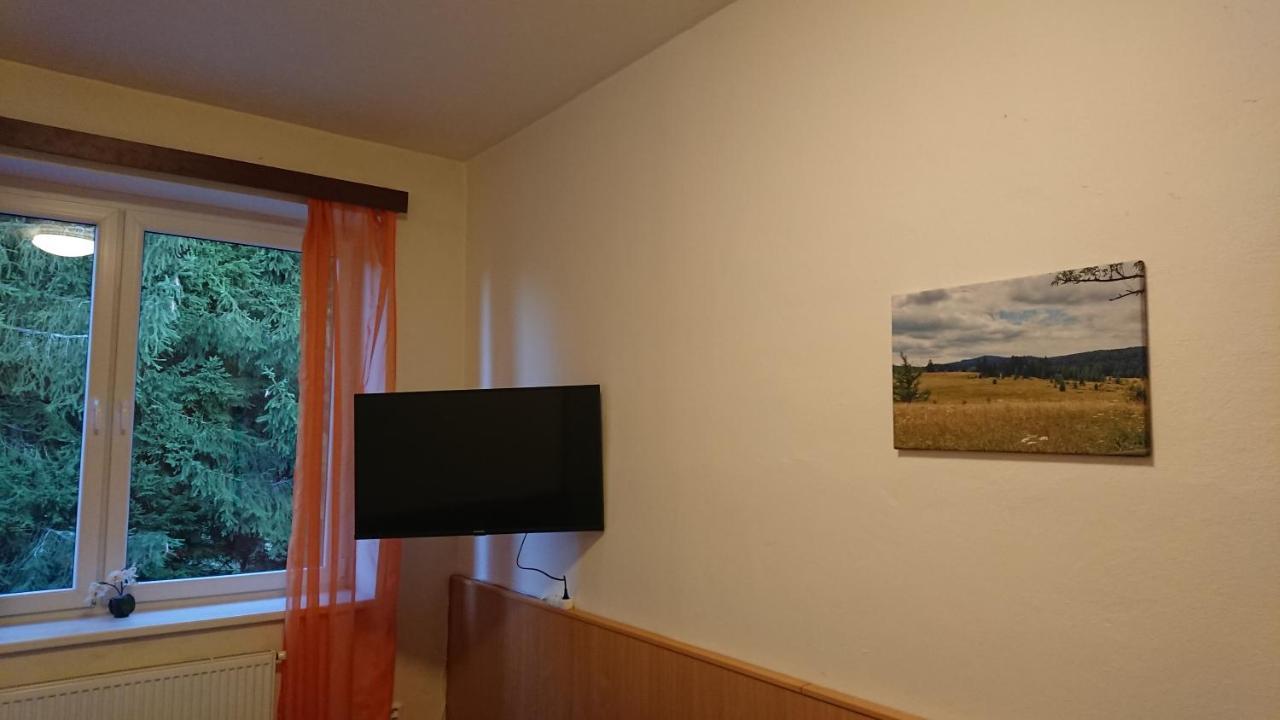 Apartman Novohradky 22 Benesov nad Cernou Exterior foto