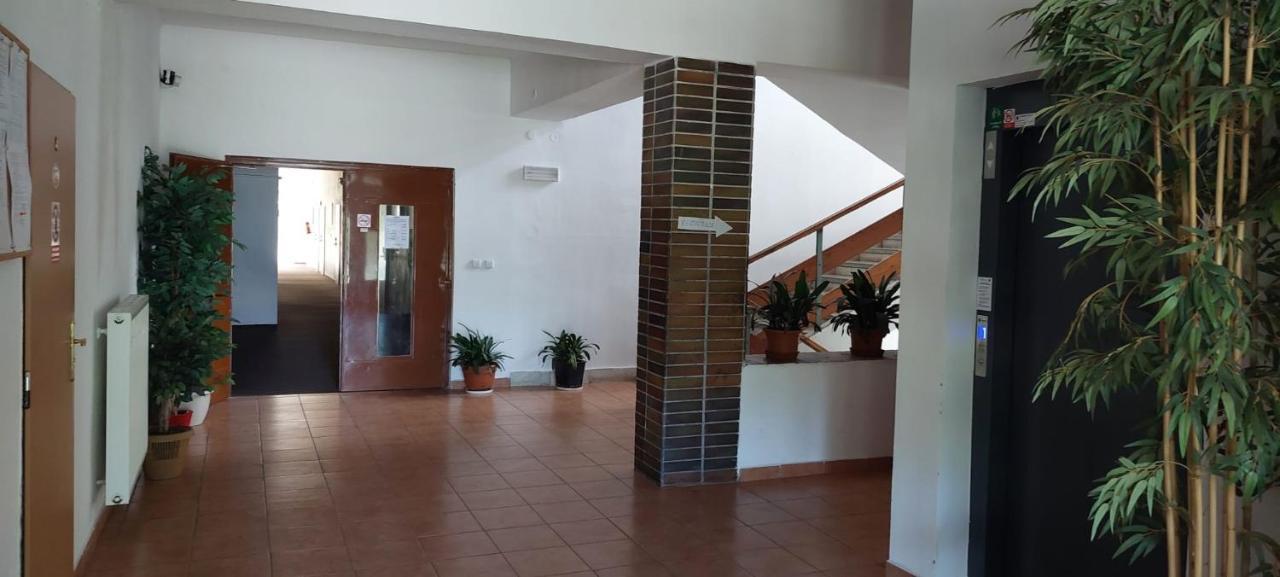 Apartman Novohradky 22 Benesov nad Cernou Exterior foto