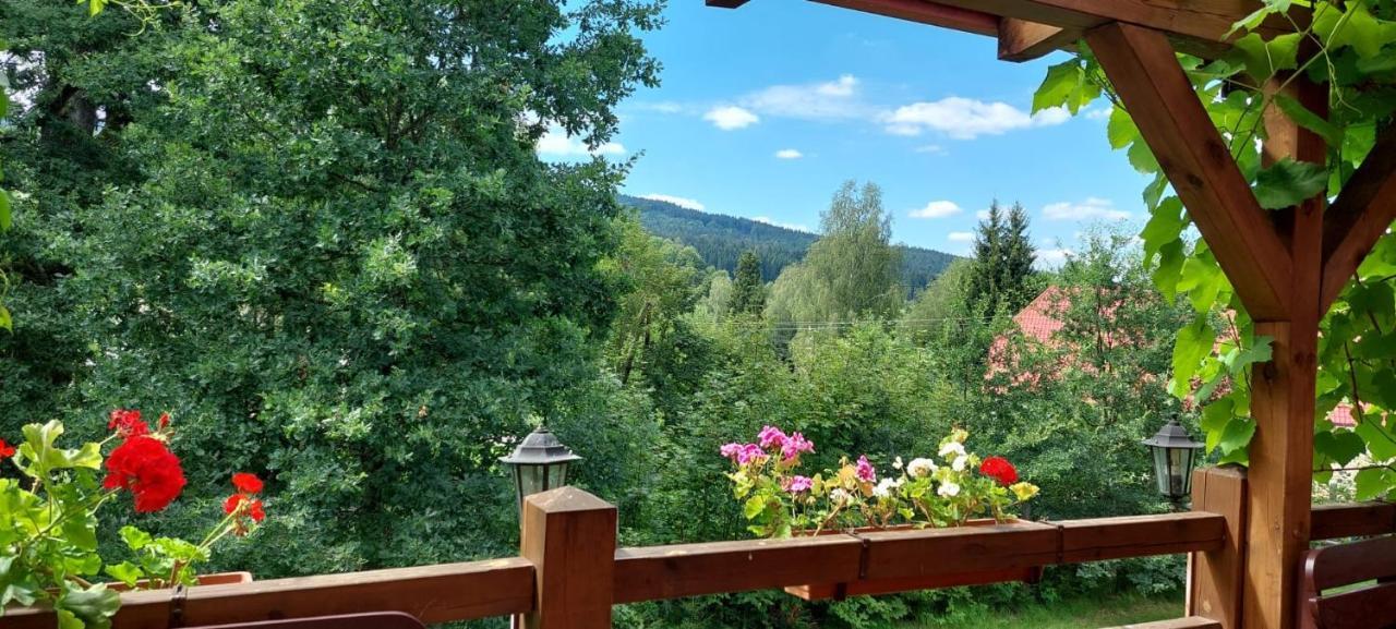 Apartman Novohradky 22 Benesov nad Cernou Exterior foto